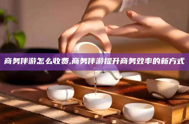 崇左商务伴游怎么收费,商务伴游提升商务效率的新方式